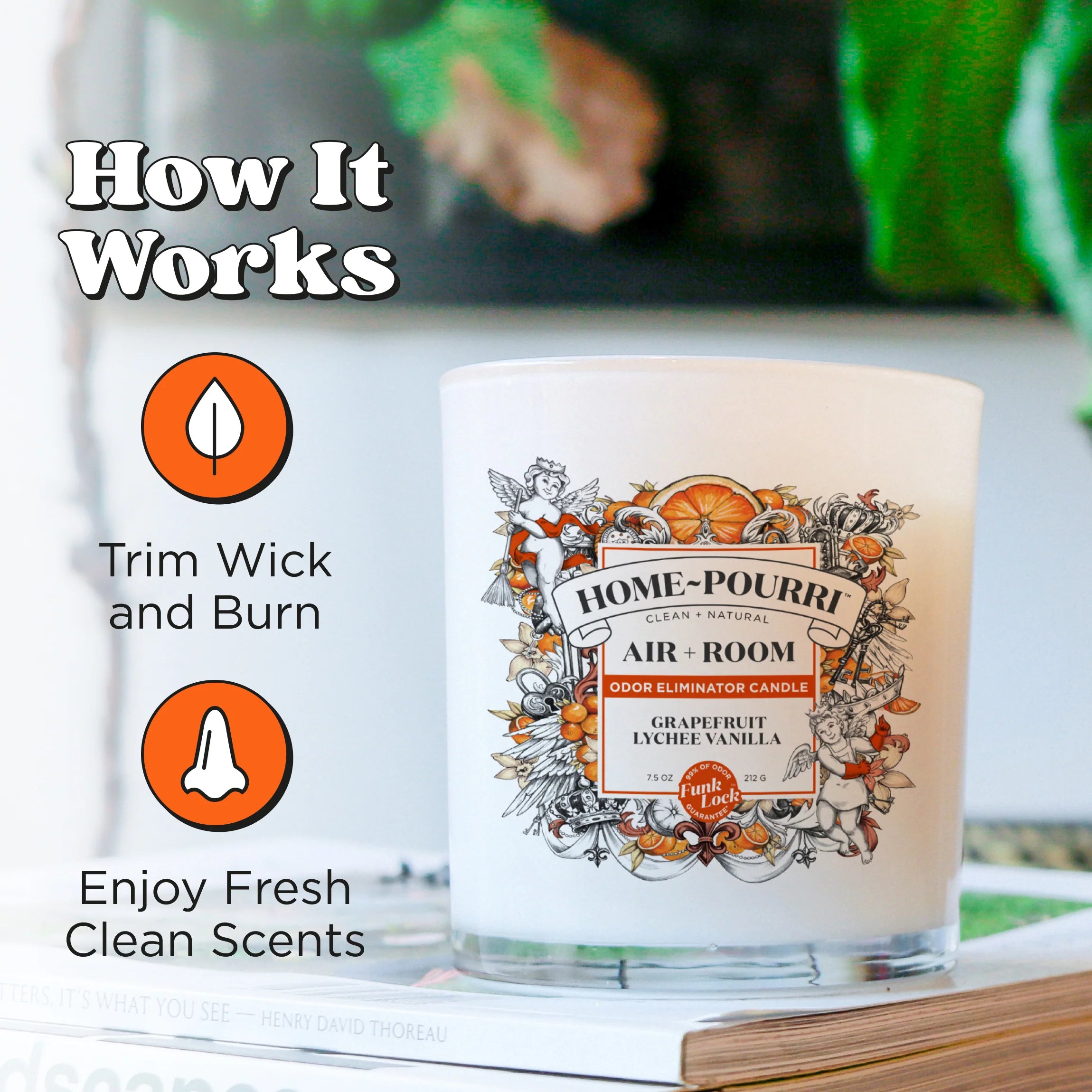 Grapefruit Lychee Vanilla Candle - Home~Pourri Candle - View 5