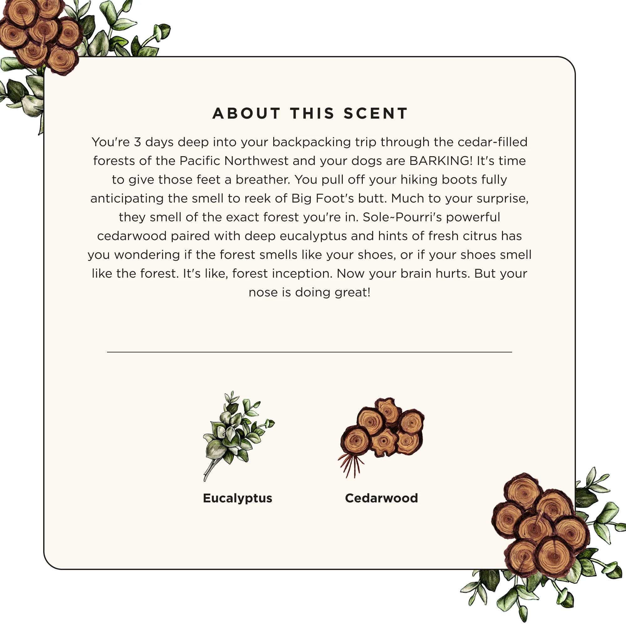 Cedarwood Eucalyptus - Sole~Pourri Shoe Deodorizer - View 4